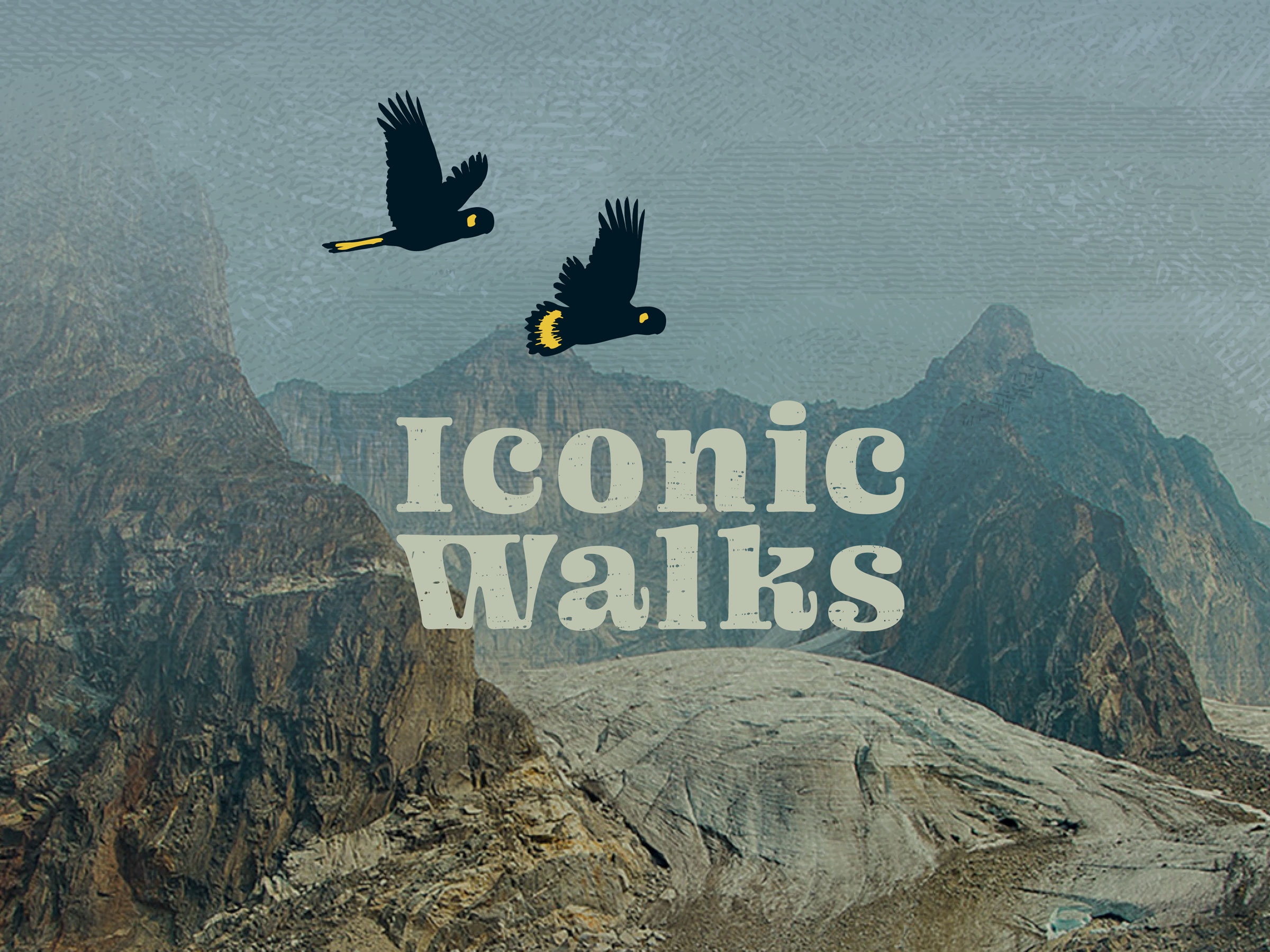 Iconic-Walks_Brand_202417