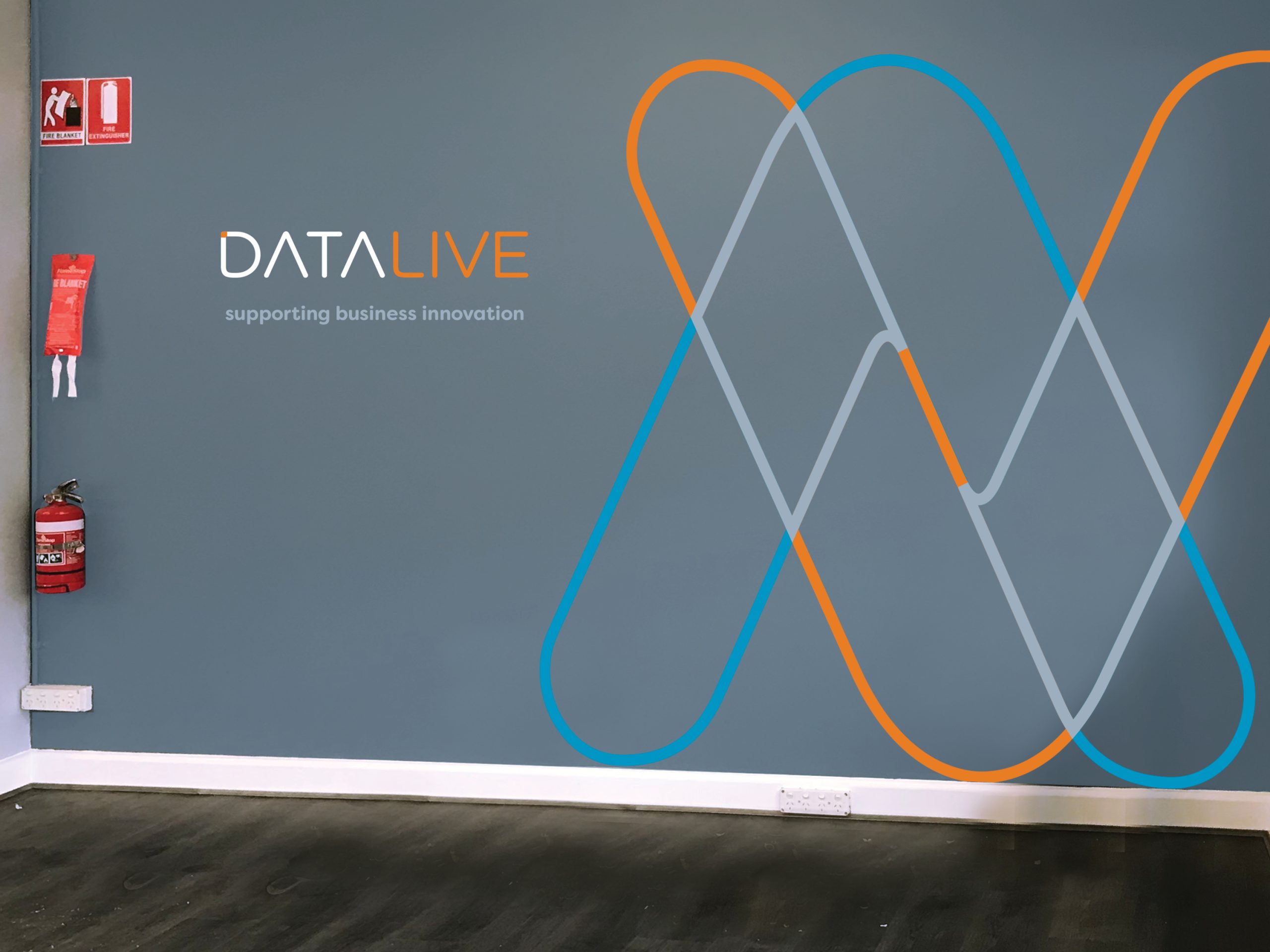 Datalive Brand_202410