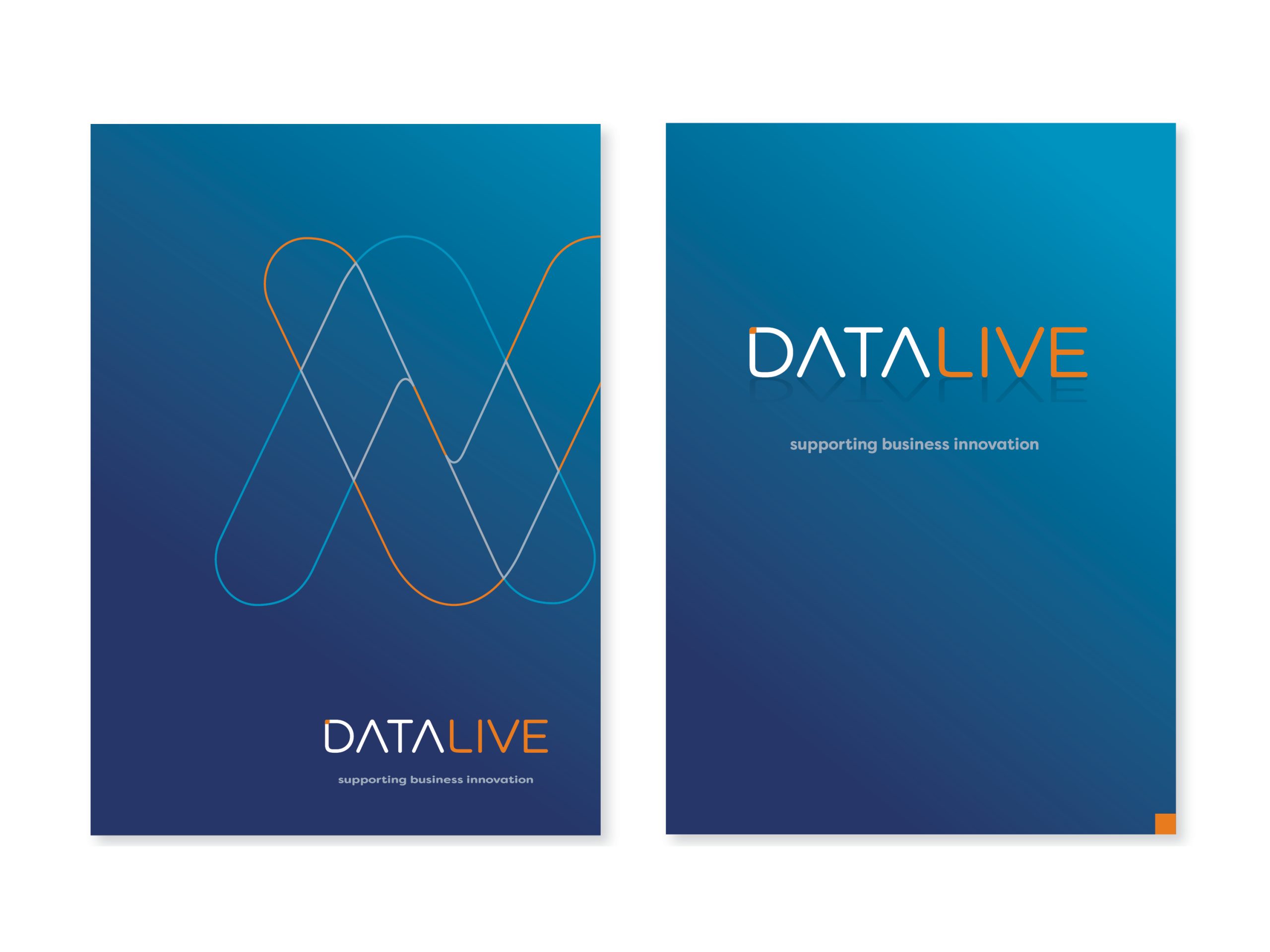 Datalive Brand_20246