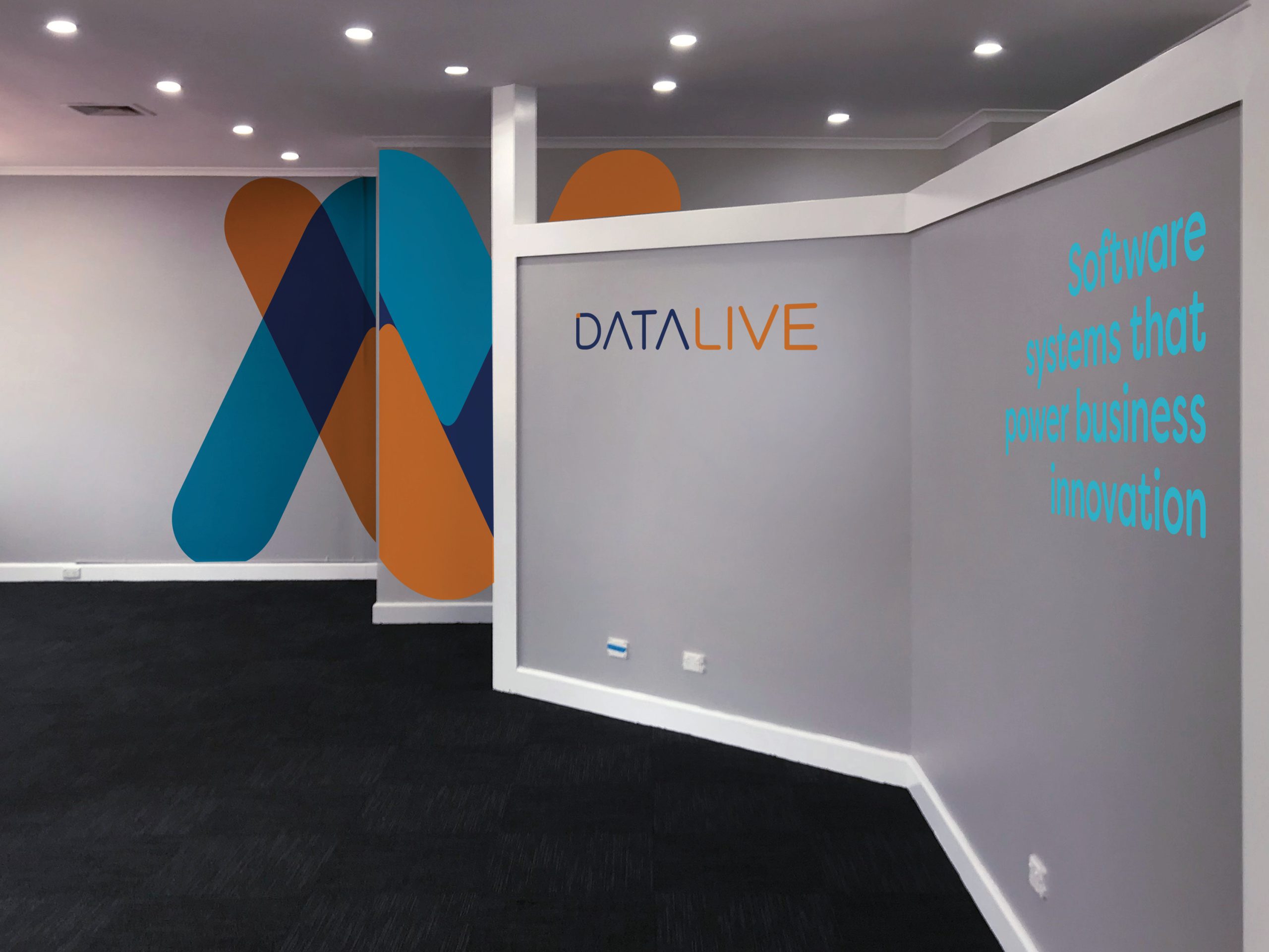 Datalive Brand_20249