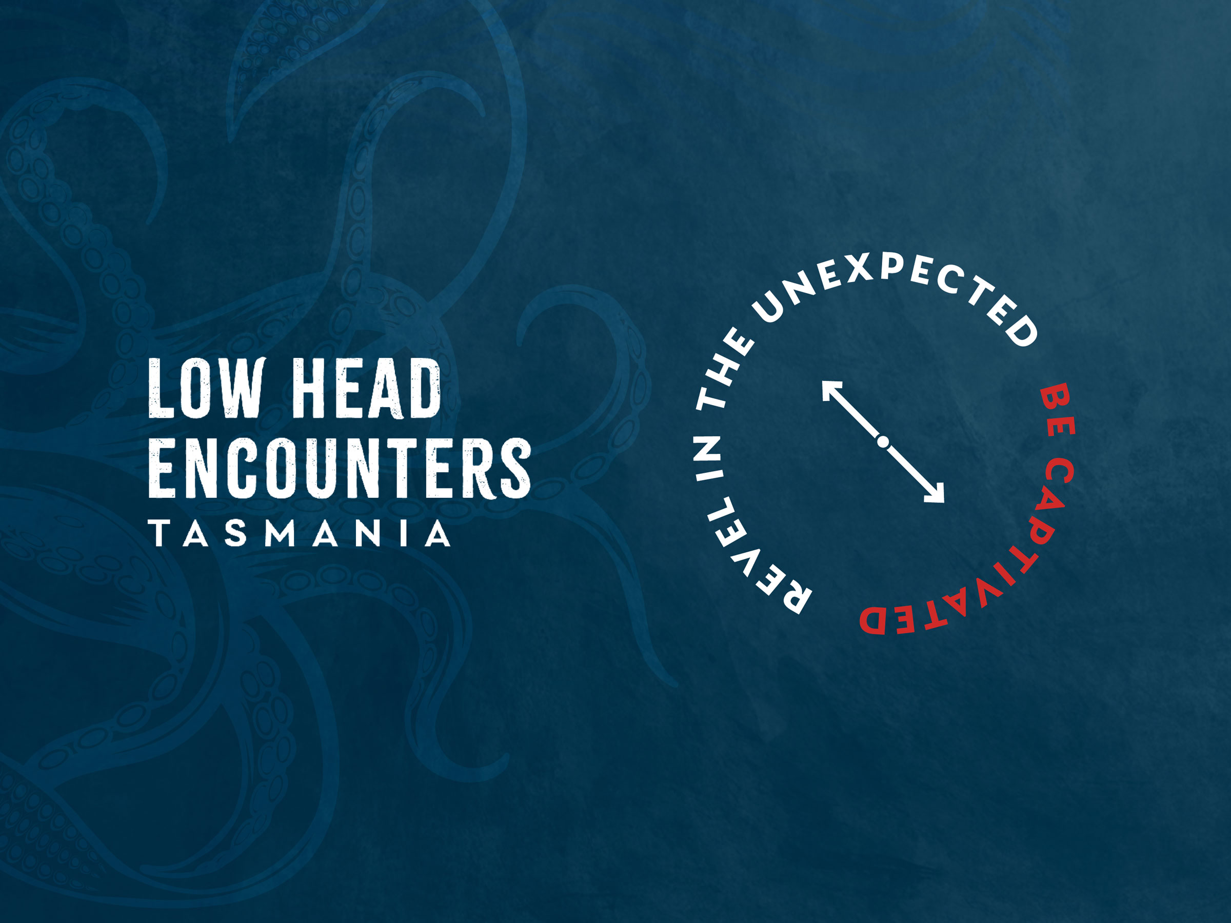 Low-Head-Encounters_Brand-20234